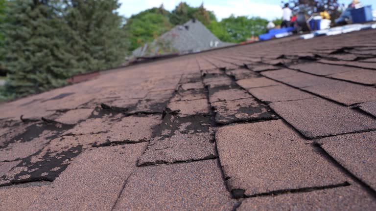 Best Commercial Roofing Services  in Fort Plain, NY
